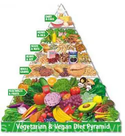 Tips for Transitioning to a Vegan Diet