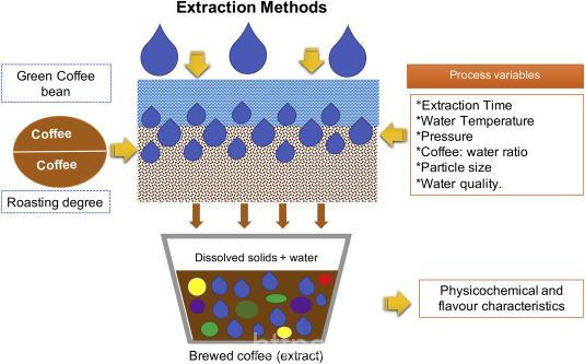 Cold Brew Coffee Production - Traditional vs. Active Extraction Methods